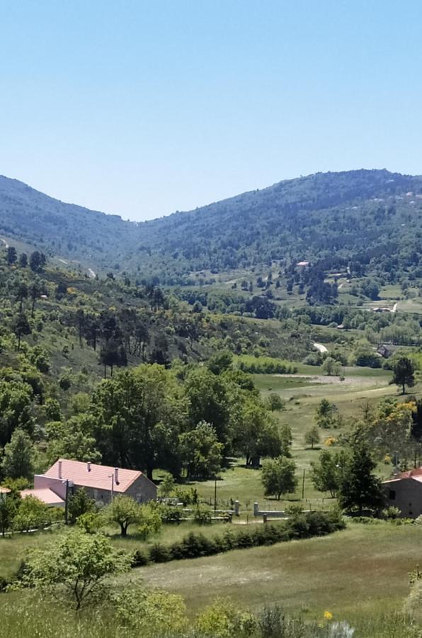 Turismo Rural Macieira Brava Guarda Luaran gambar