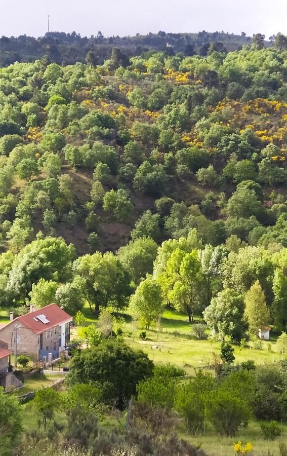 Turismo Rural Macieira Brava Guarda Luaran gambar