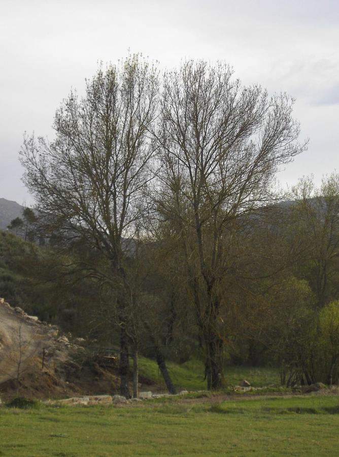Turismo Rural Macieira Brava Guarda Luaran gambar